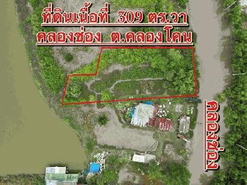ขายที่ดิน 303 ตร.วา คลองโคน อ.เมือง จ.สมุทรสงคราม   ZW288