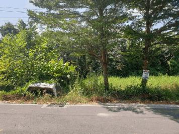 พื้นที่ดิน - สภาพแวดล้อม-ดี