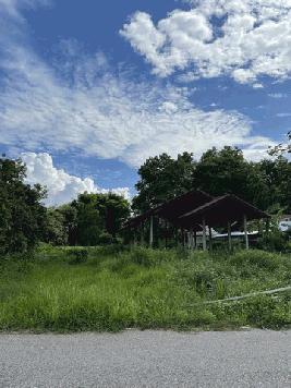 ขายด่วน ที่ดินพร้อมโครงสร้างบ้าน ต.โนนนาจาน อ.นาคู จ. กาฬสินธุ์