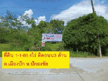 ขายที่ดินเปล่า 1-1-88.4 ไร่ หน้ากว้าง 55 เมตร ลึก 42 เมตร ติดถนน 3 ด้าน ทำเลดีใกล้ถนนราชสีมา-ปักธงชัย (หมายเลข 304)