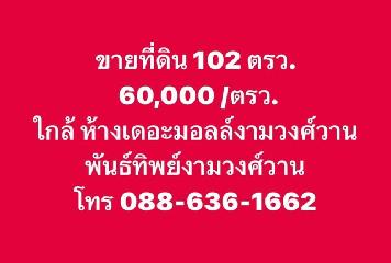 ขาย ที่ดิน 102 ตรว. ที่ดินแปลงสวยใกล้แหล่งอำนวยความสะดวก ซอย งามวงศ์วาน19