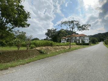 ขายที่ดิน 156 ตร.ว ในสนามกอล์ฟ Sir jame resort  Forest Hillเดิม 