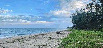 ขายที่ดินติดทะเลชุมพร หน้าติดทะเล หาดบ้านหนองบัว อ.ละเเม จ.ชุมพร แปลงละ 361 ตรว ทำเลงาม ถูกสวยทำเลดี
