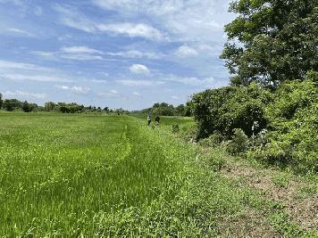 ขายที่ดินขนาด รวม40ไร่ (2แปลง) หนองแค จังหวัดสระบุรี 