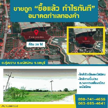 ที่ดิน 28 ไร่ (อ.พนัสนิคม จ.ชลบุรี) อนาคตทำเลทองคำ ราคาเพียง 1.6 ล้านต่อไร่