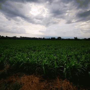 ขายที่ดินเปล่า 10 ไร่ ตำบลชัยบาดาล อำเภอชัยบาดาล จังหวัดลพบุรี
