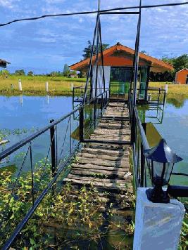 ขายที่ดิน พร้อมสิ่งปลูกสร้าง ฟิลสไตล์ธรรมชาติ เดิมร้านอาหารหนองหว้าคาเฟ่ อำเภอบรรพตพิสัย จังหวัดนครสวรรค์
