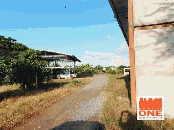  ขายที่ดินเปล่าถมแล้ว มี 3 แปลง หลังบิ๊กซีเมืองอุดร จังหวัดอุดรธานี 