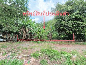 ที่ดินว่างเปล่าใกล้ แก้วมินิมาร์ท อำเภอเมืองสุราษฎร์ธานี จังหวัดสุราษฎร์ธานี PKK01-11625