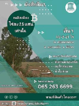 ขายที่ดิน อ. ตะพานหิน/จ. พิจิตร ต.หนองพยอม 40-3-21 ไร่ 