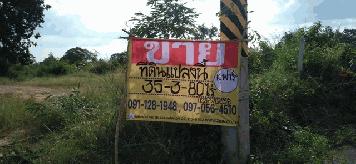 ขายด่วนที่ดินทำเลทอง 35-3-80 ไร่ ติดถนน 2 ด้าน ที่ถมแล้ว  ต.หนองคู อ.ลำปลายมาศ   จ.บุรีรัมย์  ZE567