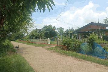 ให้เช่าโกดังพร้อมออฟฟิศ พื้นที่ใช้สอย 500 ตารางเมตร บางขุนเทียน เทียนทะเล ถนนพระราม2 