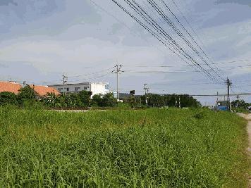 ขายที่ดินแปลงงาม     :                       ชลบุรี
