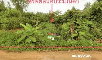 ขายที่ดินว่างเปล่าใกล้ โลตัส โกเฟรช สาขาตลาดศรีฟ้า อำเภอเกาะสมุย จังหวัดสุราษฎร์ธานี PKK01-11511