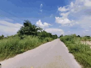 ขาย ที่ดินแปลงสวยติดถนนสาธารณะ อำเภอสวนผึ้ง  ขนาด 1ไร่