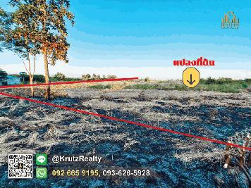 ขายที่ดิน ทำเลดีมาก 7 ไร่ 2 งาน 59.2 ตร.ว. ตรงข้ามหน่วยงานราชการอำเภอ ดอยหล่อ จังหวัดเชียงใหม่