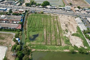 ที่ดินติดถนนแพรกษา ทำเลดี หน้ากว้าง