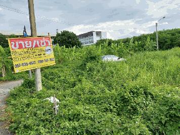 ขาย/เช่า ที่ดิน 225 ตร.วา แปลงมุม ติดถนน2 ด้าน  แบริ่ง 58/5  สำโรงเหนือ   สมุทรปราการ  ZT276