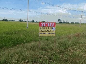 ขายด่วน ที่นาราคาถูก  5-1-53  ไร่  ติดถนนใหญ่สาย  พิษณุโลก-อุตรดิตถ์  ZK225