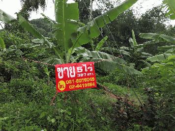 ที่ดินเกาะยอ สงขลา 5 ไร่ 3 งาน 67.6 ตร.วา ติดถนน Koh Yor land