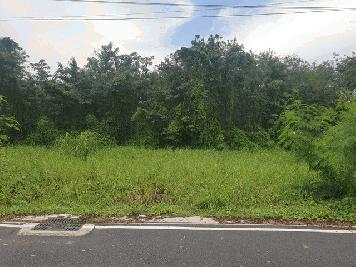 ที่ดิน -  ขนาด 0 ไร่ 0 ngan 200 Square Wah 10000 THB   ทำเลคุณภาพ ปทุมธานี   