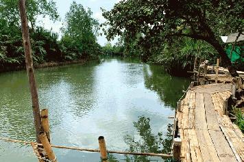 ขายที่ดินติดคลองประแสร์ริมน้ำเขตแหลมท่าตะเคียน เกือบ 2 ไร่ เขตอ.แกลง ระยอง