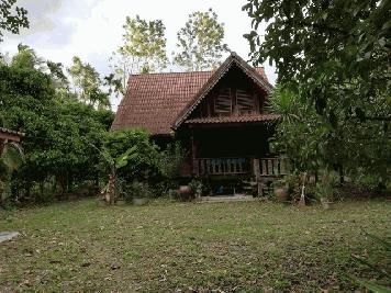 TD569  ขายที่ดินแปลงงาม     :           นครศรีธรรมราช