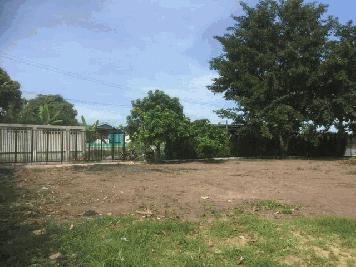 TD561  ขายที่ดินแปลงงาม :           สามโคก ปทุมธานี