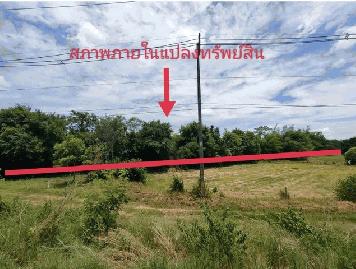 ขาย ที่ดินว่างเปล่า บ้านชำแฮด  อ.บรบือ จ.มหาสารคาม PSC00579
