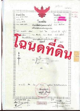 #ขายที่ดิน ต.หนองแหย่ง อ.สันทราย จังหวัดเชียงใหม่ 3 งาน 21 ตรว. 