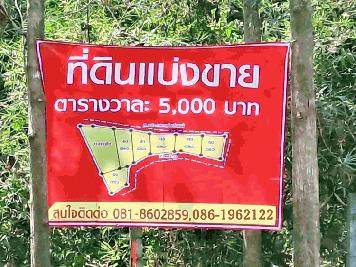 ที่ดินตำบลพิชัย หลัง รพ.ค่ายฯ เมืองลำปาง ทำเลสวย เพียง ต.ร.ว.ละ 5,000 บาท