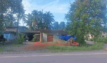 ขายบ้านเดี่ยว         อำเภอรัษฎา  ตรัง (PKK02-12377)