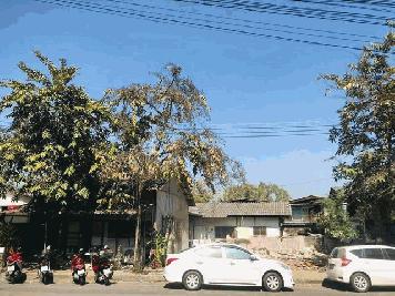 ขายที่ดิน 149 ตร.ว อำเภอเมือง เชียงใหม่ ใกล้ถนนคนเดินวัวลาย เซ็นทรัลพลาซ่าเชียงใหม่ ท่าอากาศยานเชียงใหม่ 