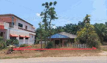 ขายบ้านเดี่ยว      อำเภอวังวิเศษ  ตรัง (PKK02-14418)