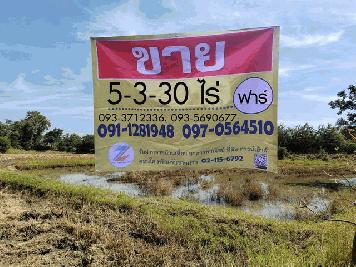ขายด่วนที่ดินที่นา 5-3-30  ไร่  ติดถนนกระสัง-หนองไข่น้ำ ต.จันอัด  อ.โนนสูง   จ.นครราชสีมา   ZE586