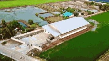 ขายโกดัง5ไร่ ถนนบางบัวทอง340 ไทยน้อย นนทบุรี  โซนสีเขียว ขอรง.ได้ *ใกล้โรงงานไฮเนเก้น