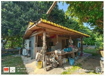 ขายที่ดินบรรยากาศดี ใกล้ ไร่บุญรอด สิงห์ปาร์ค 1-1-88.7 ไร่ พร้อมสวนผลไม้ ต.แม่กรณ์ อ.เมือง จ.เชียงราย 