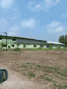 ขายโรงงานราคาถูกต่อรองได้ขายโกดังโรงงานพร้อมบ้านพักคนงานอยู่ตำบลบึงชำอ้ออำเภอหนองเสือ