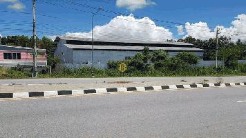 โรงงานให้เช่า 1440 ตรม. ติดถนนใหญ่ 3376 อ.นิคมพัฒนา ระยอง