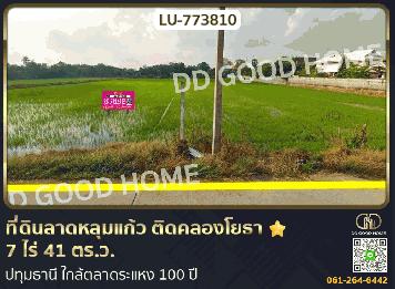 ที่ดินลาดหลุมแก้ว ติดคลองโยธา 7 ไร่ 41 ตร.ว. ปทุมธานี ใกล้ตลาดระแหง 100 ปี