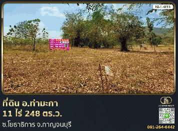 ที่ดิน อ.ท่ามะกา 11 ไร่ 248 ตร.ว. ซ.โยธาธิการ จ.กาญจนบุรี