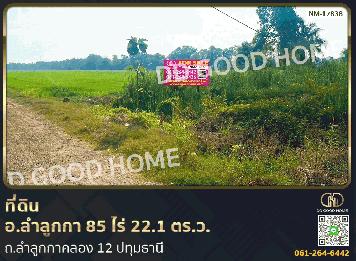 ที่ดิน อ.ลำลูกกา 85 ไร่ 22.1 ตร.ว. ถ.ลำลูกกาคลอง 12 ปทุมธานี