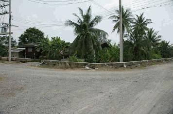 ขายที่ดิน 15 ไร่ ซอยสุจินอุทิศ ท่าไม้ กระทุ่มแบน สมุทรสาคร