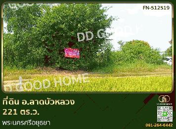 ที่ดิน อ.ลาดบัวหลวง 221 ตร.ว. พระนครศรีอยุธยา