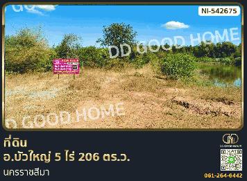 ที่ดิน อ.บัวใหญ่ 5 ไร่ 206 ตร.ว. นครราชสีมา