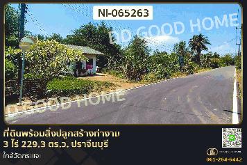 ที่ดินพร้อมสิ่งปลูกสร้างท่างาม 3 ไร่ 229.3 ตร.ว. ปราจีนบุรี ใกล้วัดกระแจะ NI-065263