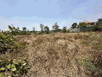 ขายที่ดินรังสิตคลอง 2  เหมาะสร้างเป็นที่อยู่อาศัย หรือ ทำธุรกิจได้  ทำเลดี