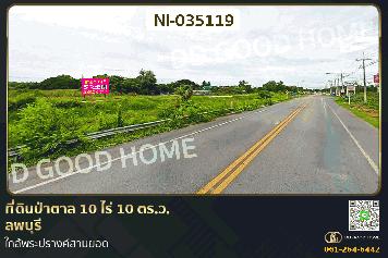 ที่ดินป่าตาล 10 ไร่ 10 ตร.ว. ลพบุรี ใกล้พระปรางค์สามยอด NI-035119