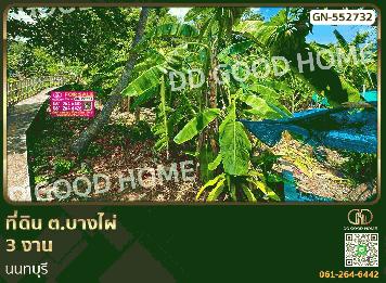 ที่ดิน ต.บางไผ่ 3 งาน นนทบุรี