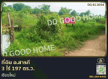 ที่ดิน อ.สารภี 3 ไร่ 197 ตร.ว. เชียงใหม่